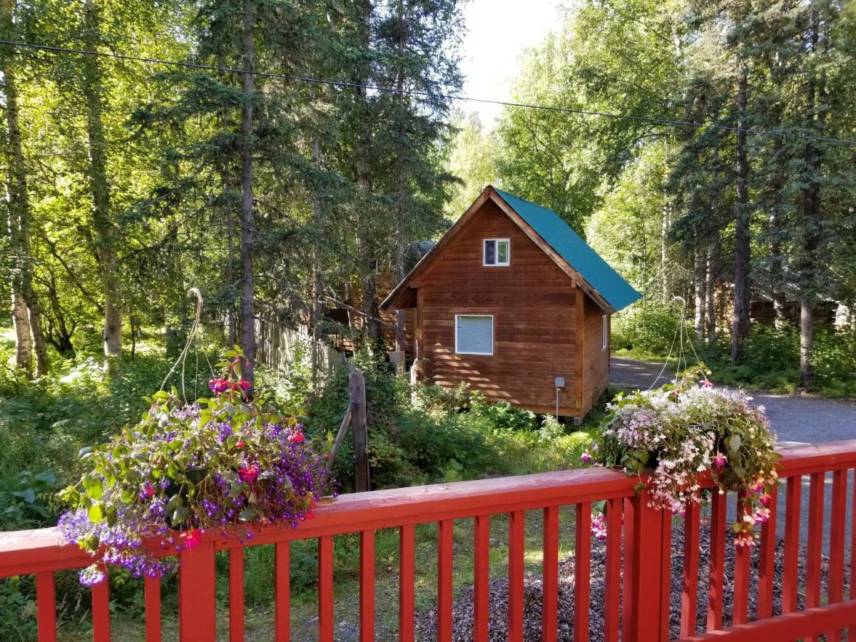 Hotel Talkeetna Hideaway Exteriér fotografie