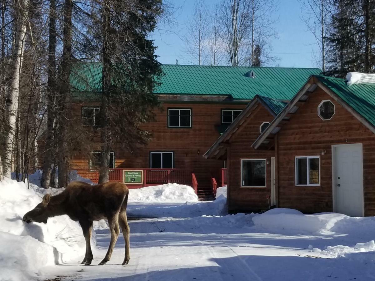 Hotel Talkeetna Hideaway Exteriér fotografie